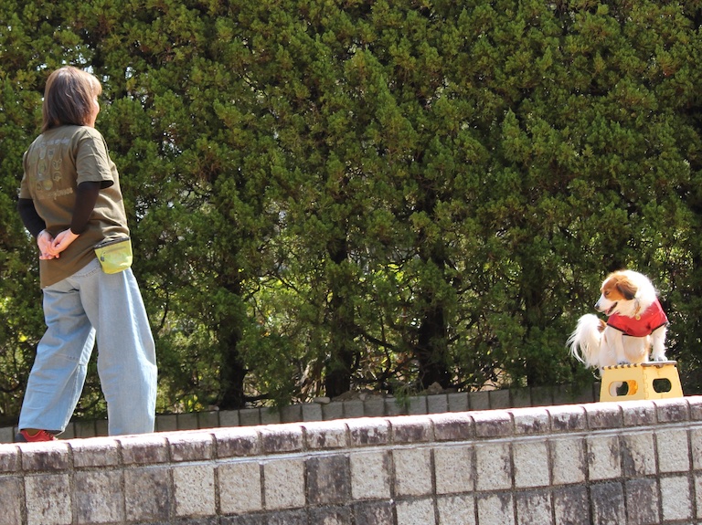 IMG_8943-1コピー2